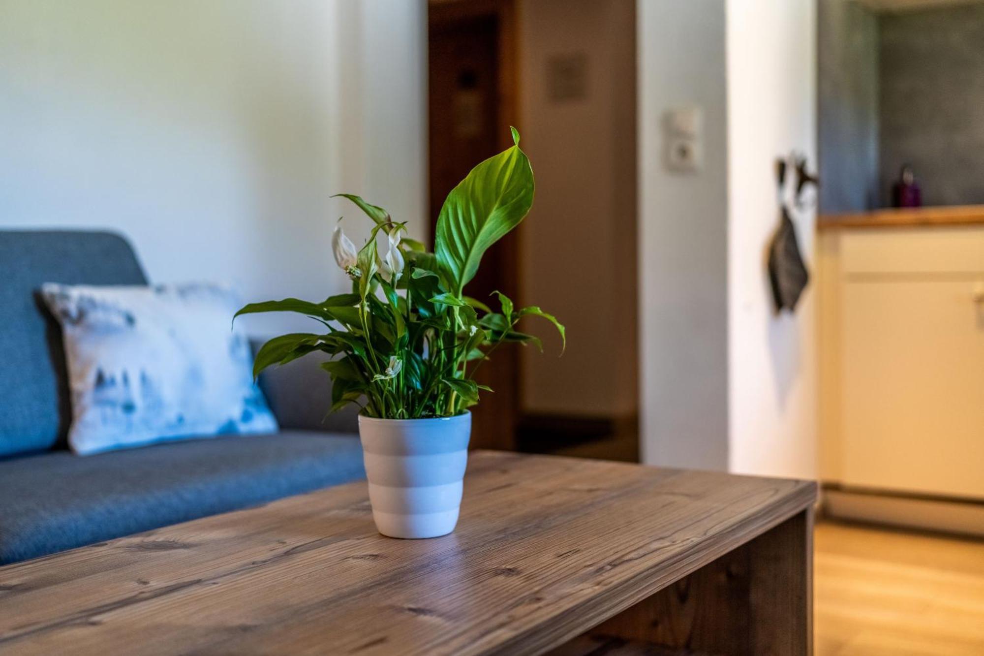 Tiroler Alpblick Appartements Ервалд Екстериор снимка