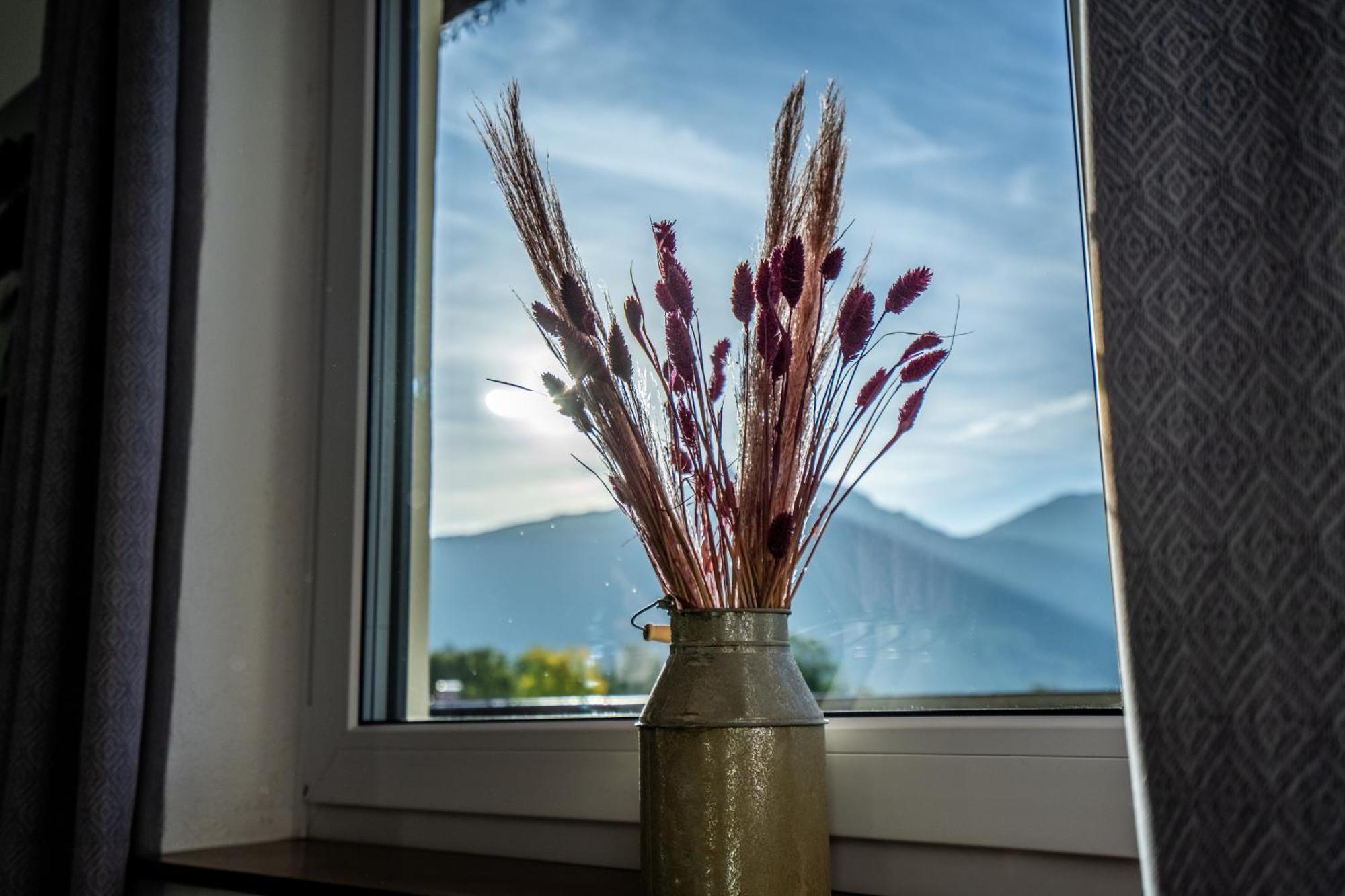 Tiroler Alpblick Appartements Ервалд Екстериор снимка